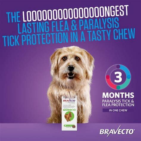Bravecto Tick and Fleas Removal Chewable Fluralaner Tablet for Dogs ...