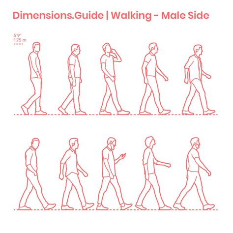 Walking - Male Side | Mensen tekenen, Menselijke figuren, Modeltekenen