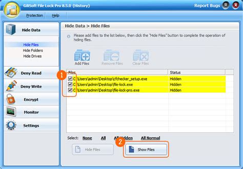 Image result for File Lock Wiki