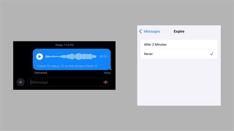 Image result for Save Voice Message iPhone