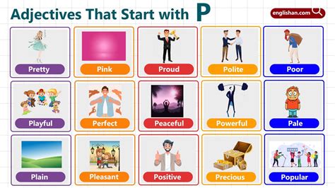 305 Adjectives That Start with P – With Meanings & Examples