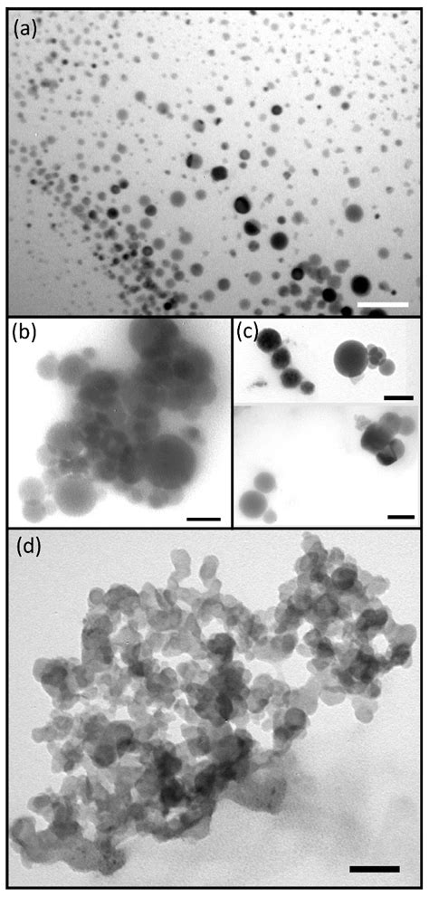 Design of Oligonucleotide Carriers: Importance of Polyamine Chain Length