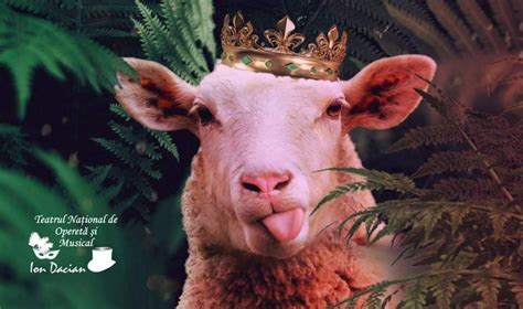 CANDID - Teatrul National de Opereta si Musical "Ion Dacian", Teatrul ...