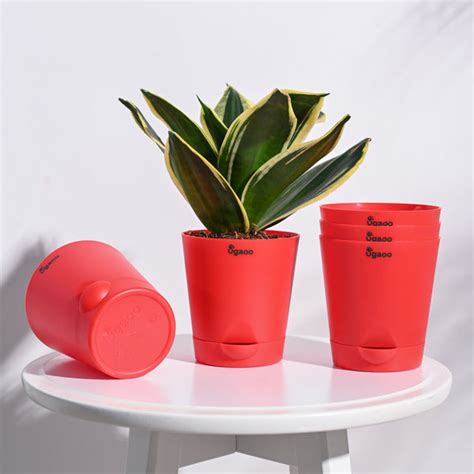 Self Watering Pots Online - Buy Self Watering Planters Online in India ...