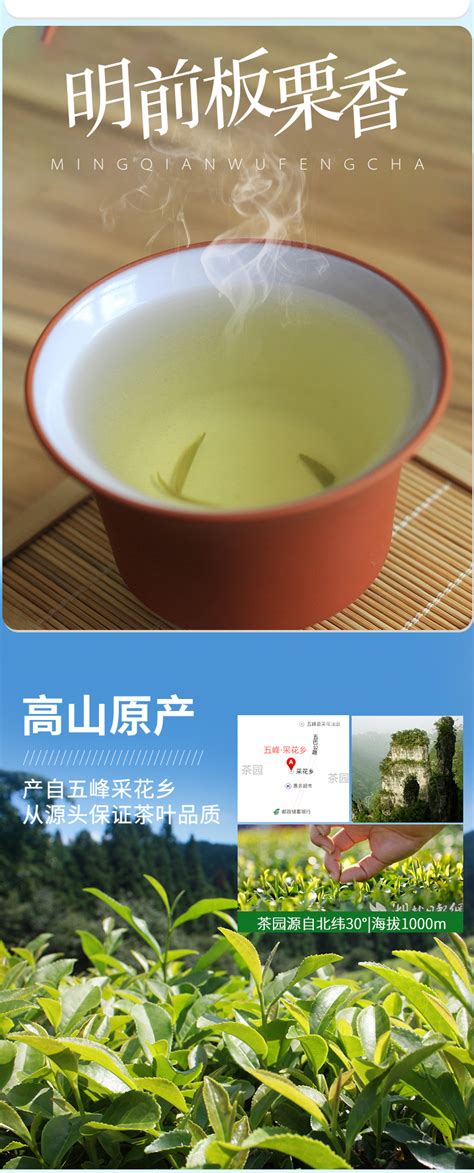 2020新茶五峰毛尖嫩芽湖北宜昌绿茶散装毛尖茶叶250g·云品-阿里巴巴