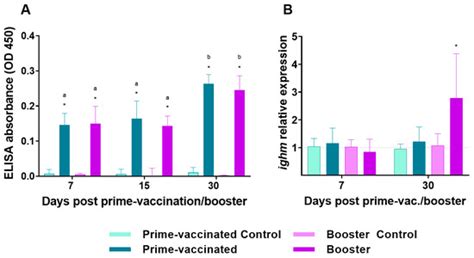 Nervous Necrosis Virus (NNV) Booster Vaccination Increases Senegalese ...