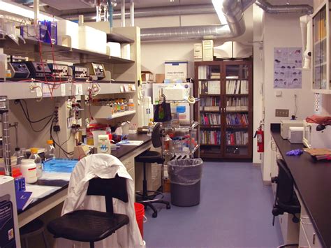 Image result for Lab Walkthrough