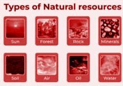 Coal And Petroleum Important Notes - Class 8 Science - Complete ...