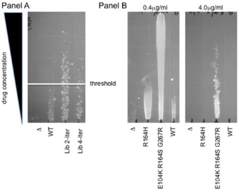 Image result for Gradient Resistance