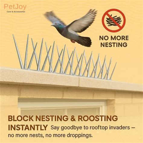 PetJoy Bird Spike Price in India - Buy PetJoy Bird Spike online at ...