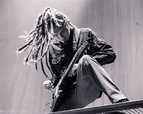 Image result for Nonpoint Line Up