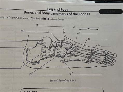 Image result for Toe Lateral View