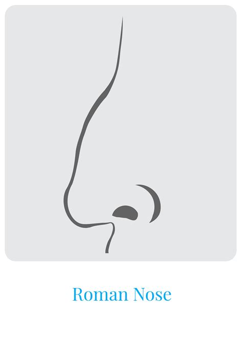 Popular & Ideal Nose Shapes: Identifying Yours | Dr. Bell