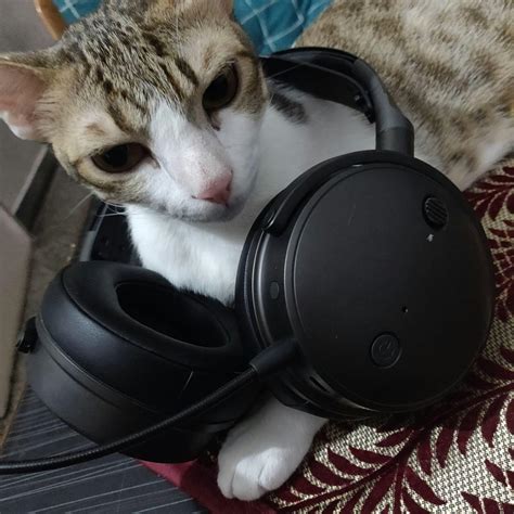 Audeze Maxwell Wireless Gaming Headset