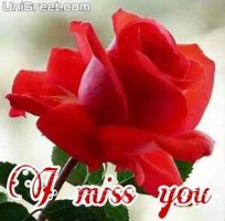 Miss you pagal dp