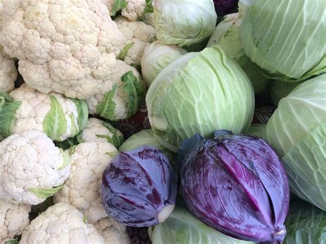 Cold-hardy vegetables will keep you gardening all winter – Plant ...