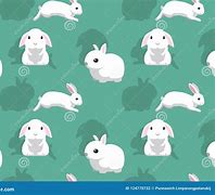 Image result for Baby Rabbit White Background