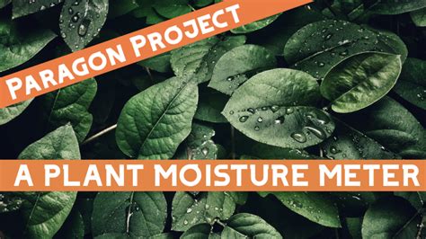 Using Plant Moisture Meter 的图像结果