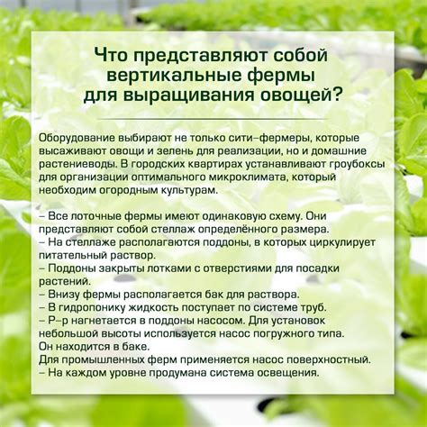 Что представляют собой вертикальные фермы для выращивания овощей ...