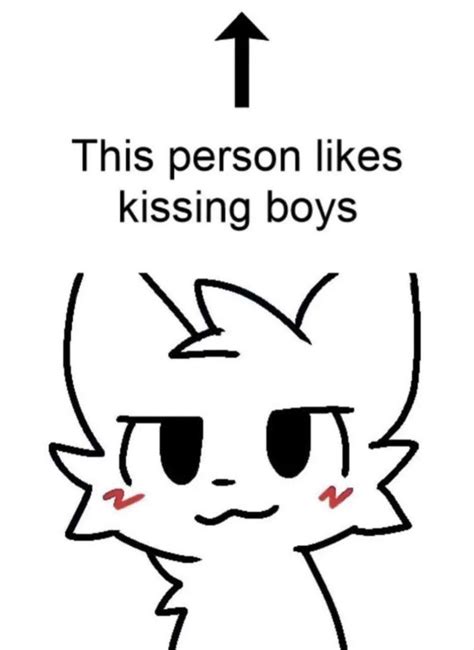 My compilation of Boykisser memes : r/boykisser