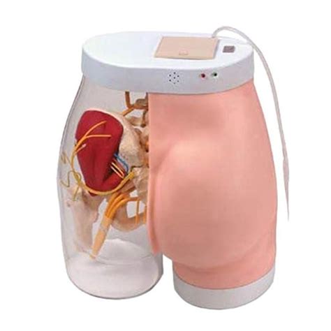 Buy JL Buttocks Intramuscular injection and Compared model with ...