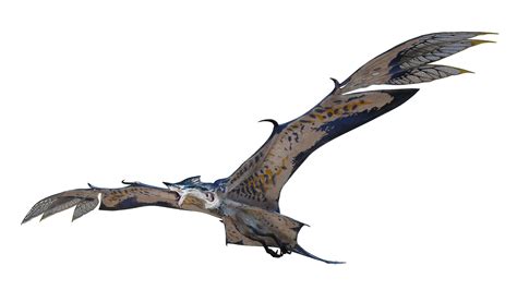 Stormglider | Avatar.com