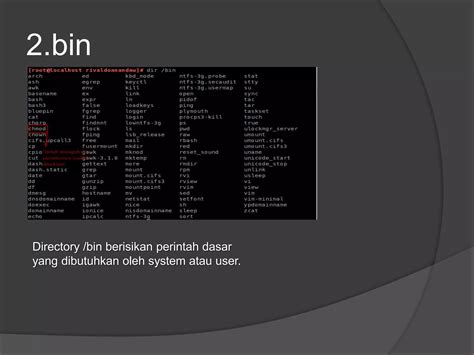 Filesystem Hierarchy Standard Explained 的图像结果