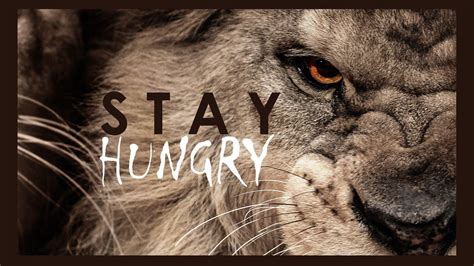 Lion Quotes HD Wallpapers - Top Free Lion Quotes HD Backgrounds ...