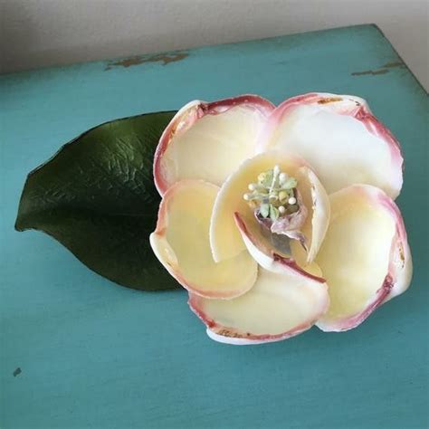 Seashell Flower Tutorial 的图像结果