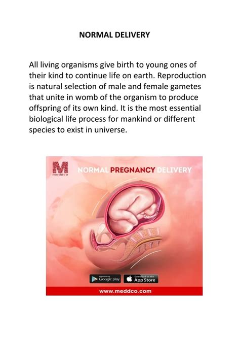 Image result for Normal Delivering