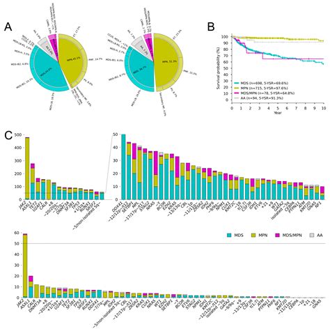 Classification and Prognostic Stratification Based on Genomic Features ...