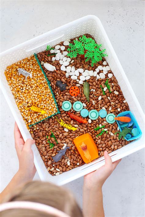 Sensory Bin