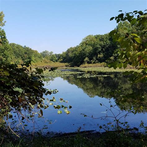 TENAFLY NATURE CENTER (2026) All You Need to Know BEFORE You Go (with ...