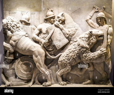 Reproduction of lions hi-res stock photography and images - Alamy