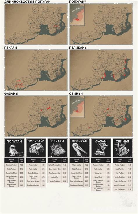 Image result for RDR2 All Animals Map