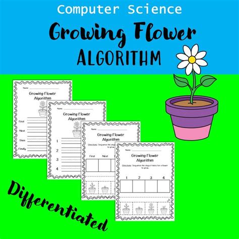 Image result for Coding Flowers Beginner OpenProcessing