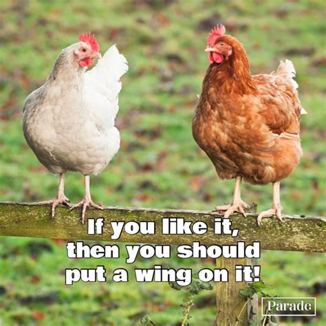 50 Chicken Puns That Are Eggs-cellently Funny - Parade