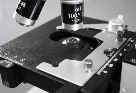 Swift SW350B 40X-2500X Magnification, Siedentopf Binocular Head ...