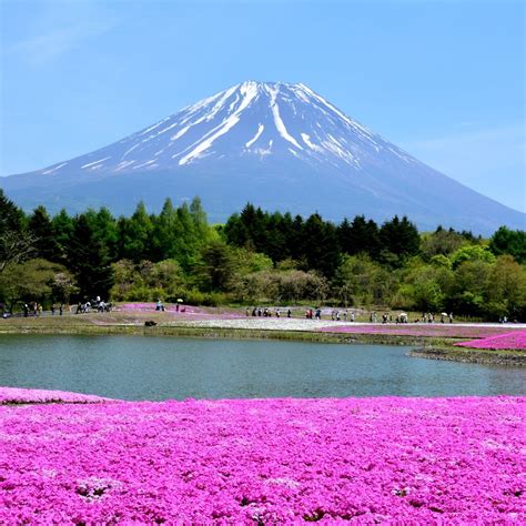 RYUJIN POND (2025) All You Need to Know BEFORE You Go (with Photos ...