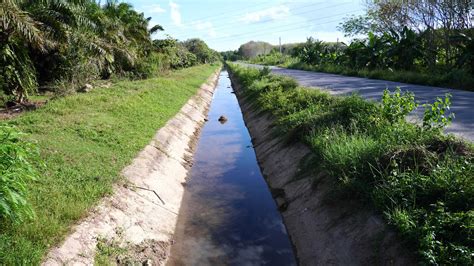 Waterway for rural agriculture in Thailand. irrigation system 22386848 Stock Video at Vecteezy