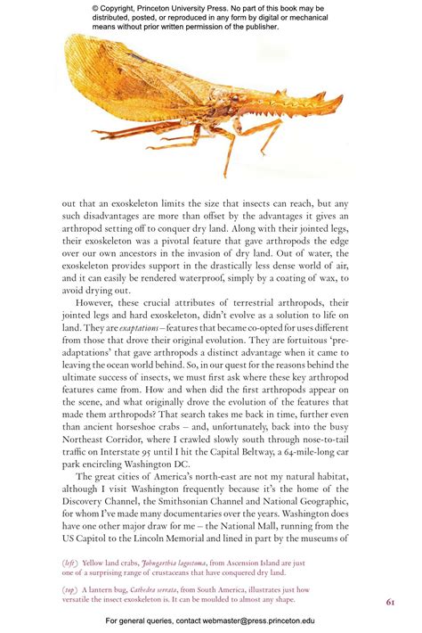 Image result for Alien World Order Book