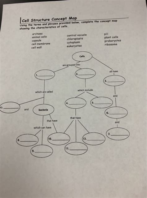 Cell Structure Concept Map 的图像结果