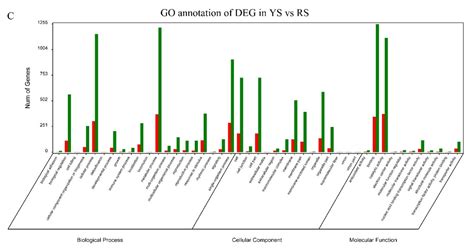 Identification of Candidate Genes Associated with Pulp Color by ...