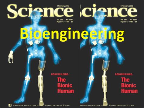 Image result for Introduction to Bioengineering