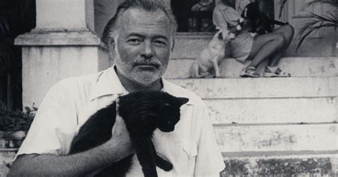 Hemingway Interview 的图像结果