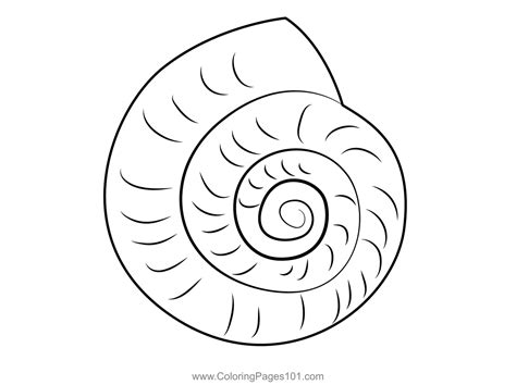 Image result for Shell Shape Coloring