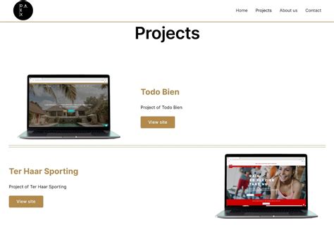 Image result for Web Design Portfolio Examples