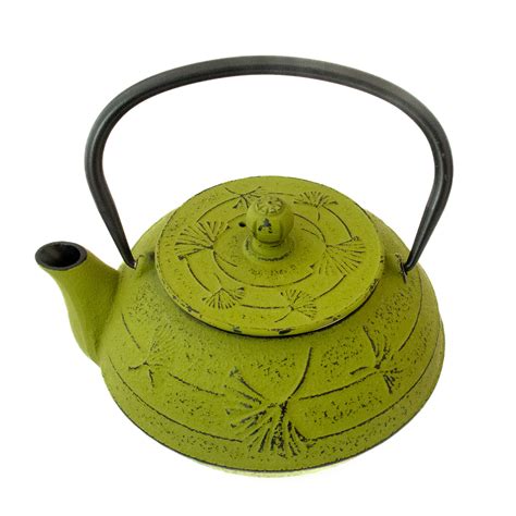 Cast Iron Teapot - Sage – The Boulder Tea Company