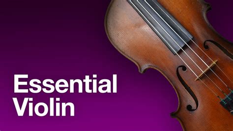 Image result for Violin