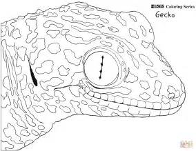 Common Tokay Gecko coloring page | Free Printable Coloring Pages